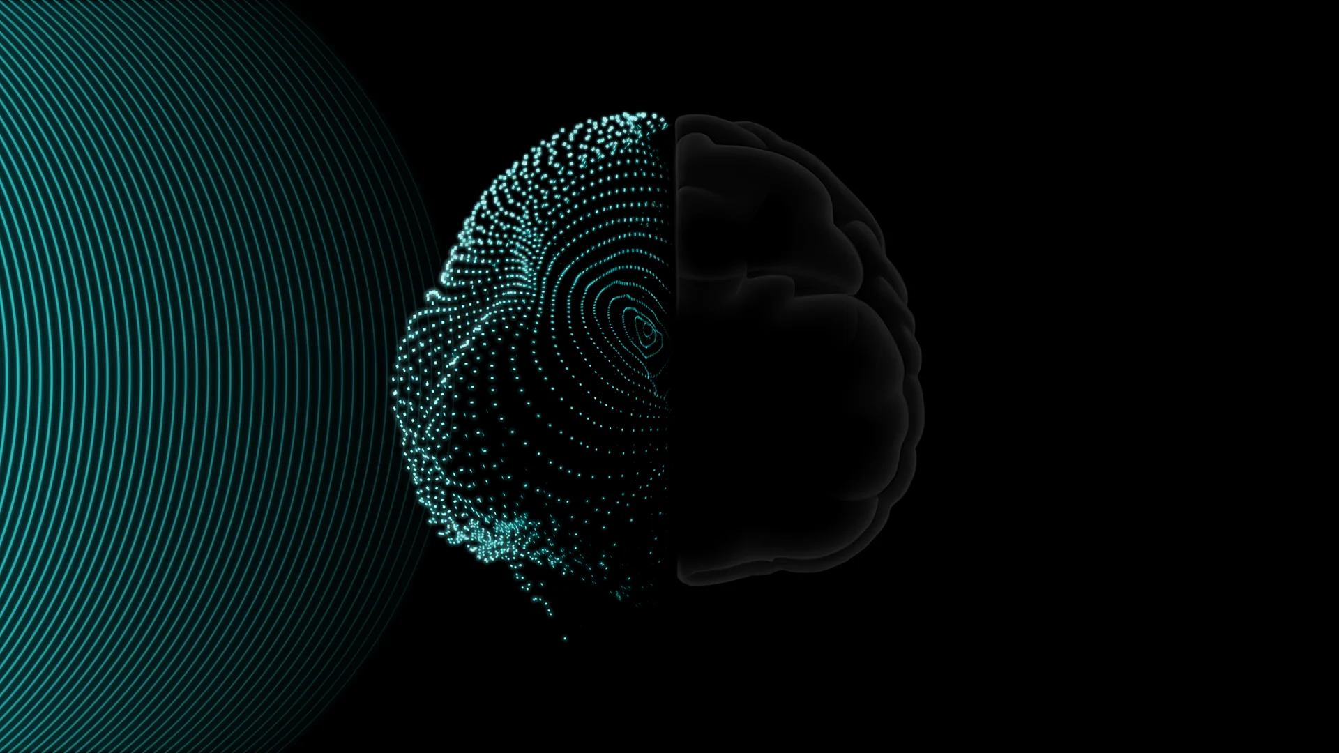Image of a brain