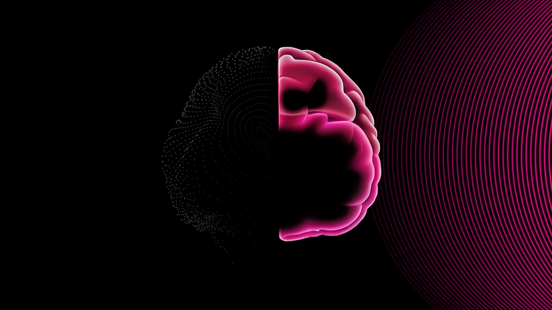 Image of a brain