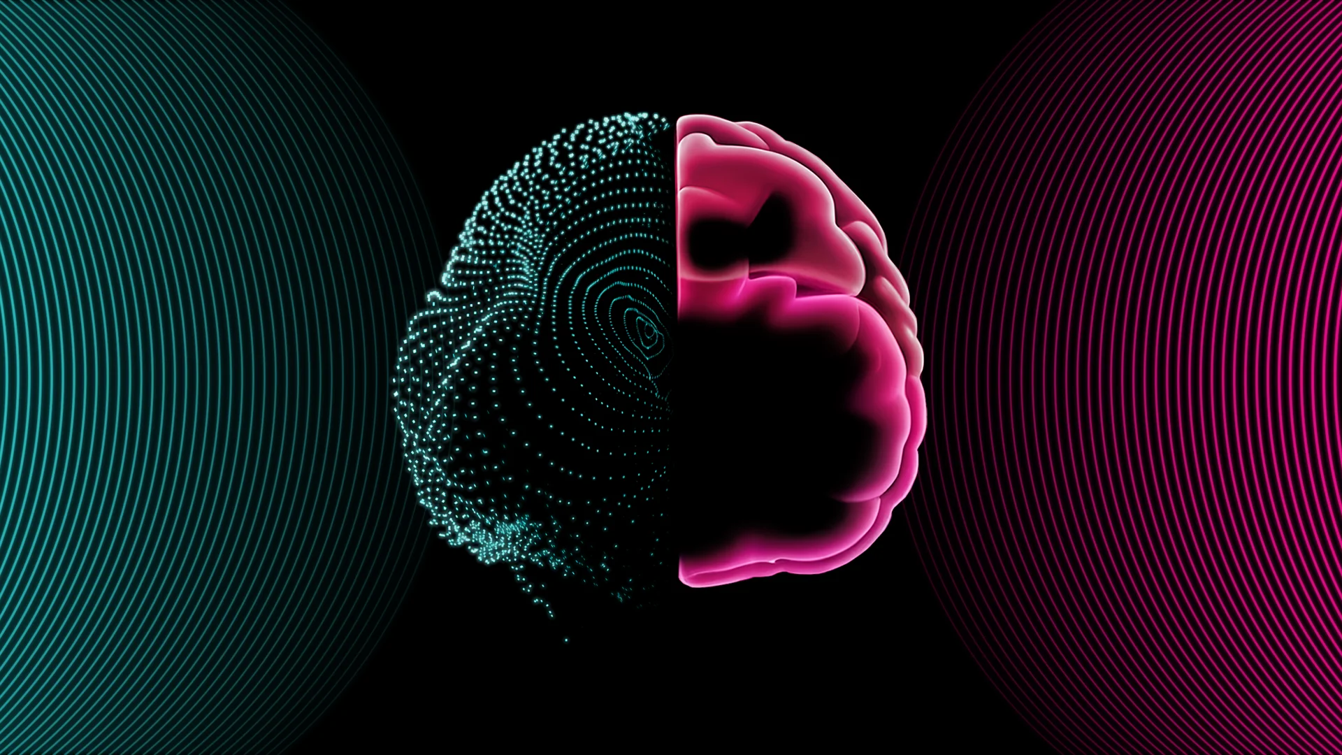 Image of a brain